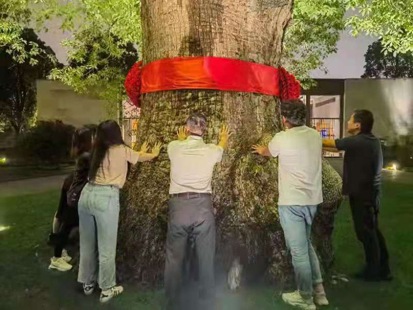 第 13 張